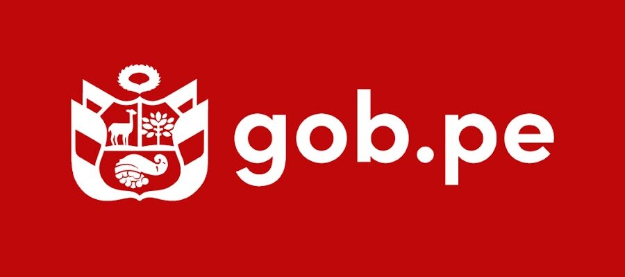 Migración e implementación al sistema Gob.pe: moderniza tu portal institucional con NetTel.es